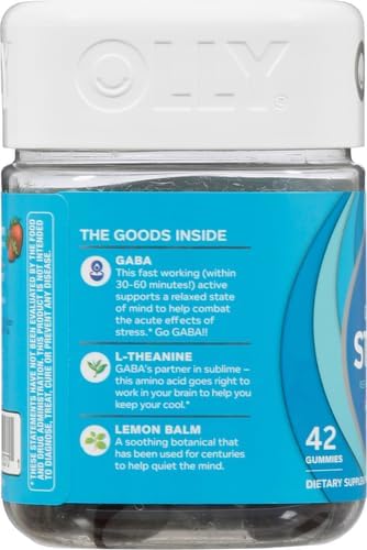 Goodbye Stress Gummy, GABA, L-Theanine, Lemon Balm, Stress Relief Supplement, Berry - 42 Count
