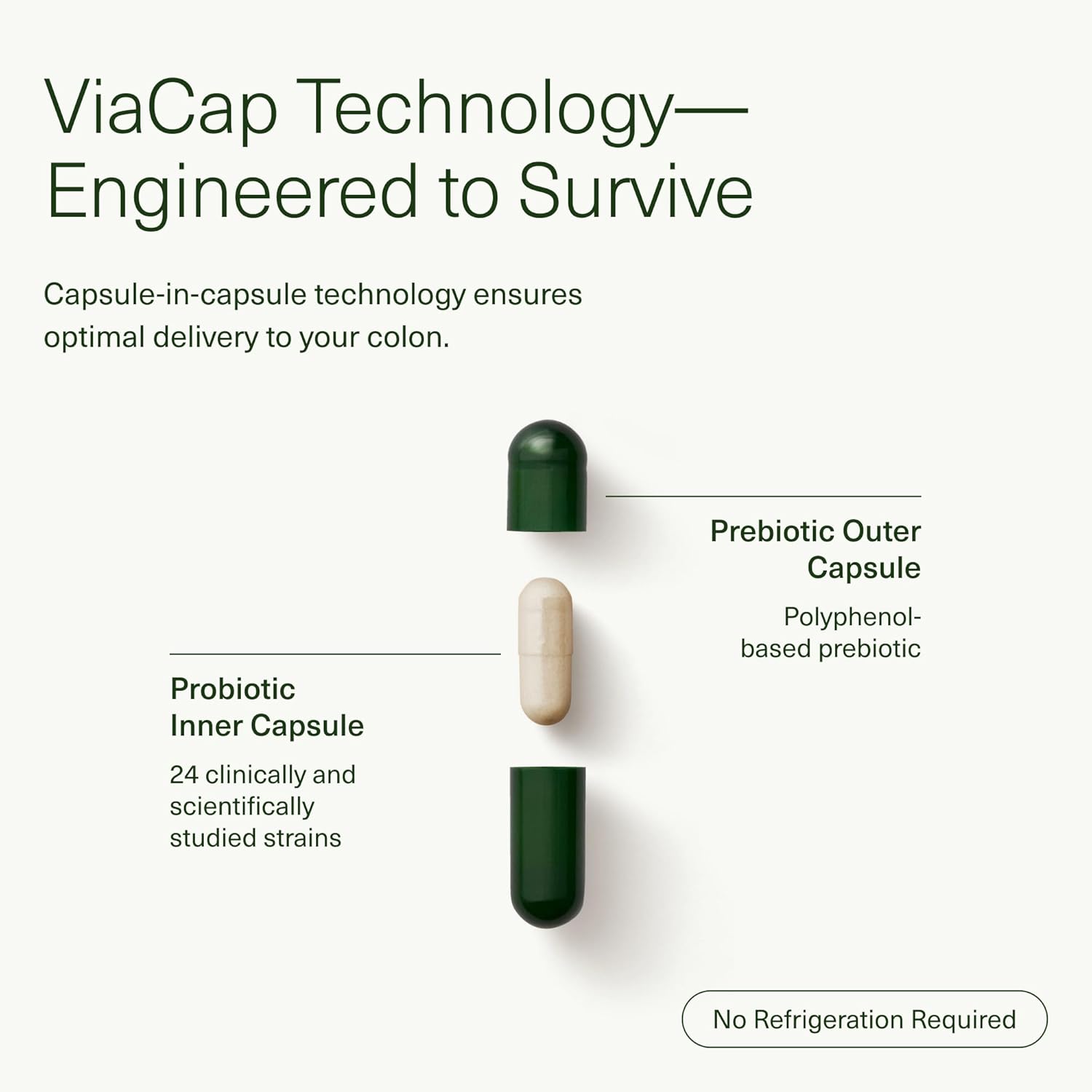 Seed  DS-01 Daily Synbiotic - Prebiotic and Probiotic for Women & Men - Digestive Health, Gut Health, Immune Support, Bloating & Constipation Relief - Vegan & Shelf-Stable - 60 Capsules (30-Day Supply)