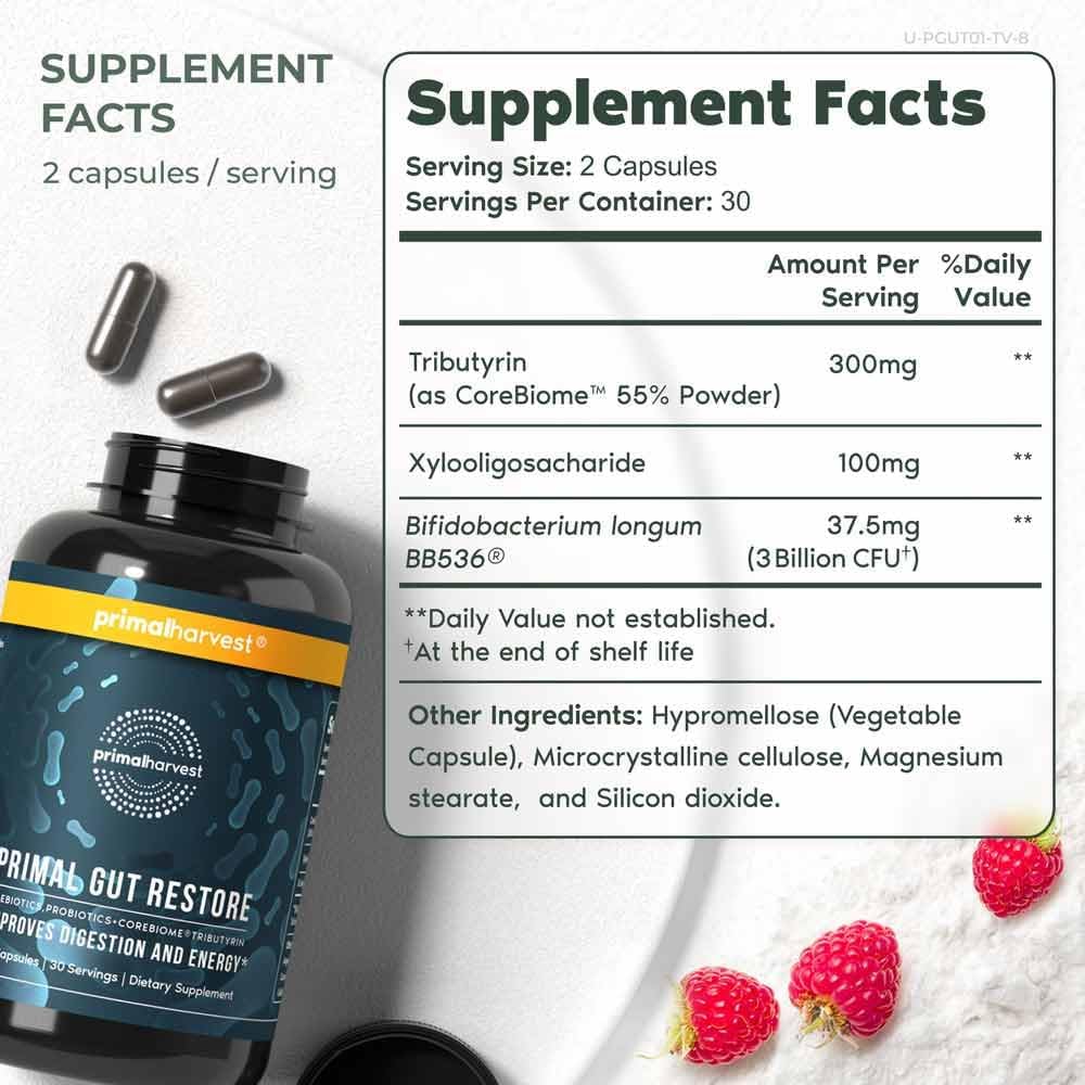 Primal Harvest  Restore for Gut Health, Primal Gut Restore W/Postbiotics, Prebiotics and Probiotics for Women and Men, 60 CT - Digestion, Colon Cleanse, Immunity Support - Helps Leaky Gut Repair