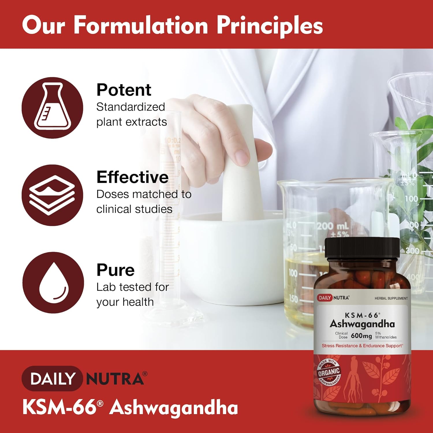 KSM-66 Ashwagandha 600Mg Organic Root Extract - High Potency Supplement with 5% Withanolides | Relieves Tiredness, Supports Relaxation, Focus, Energy, & Muscle Growth (60 Capsules)