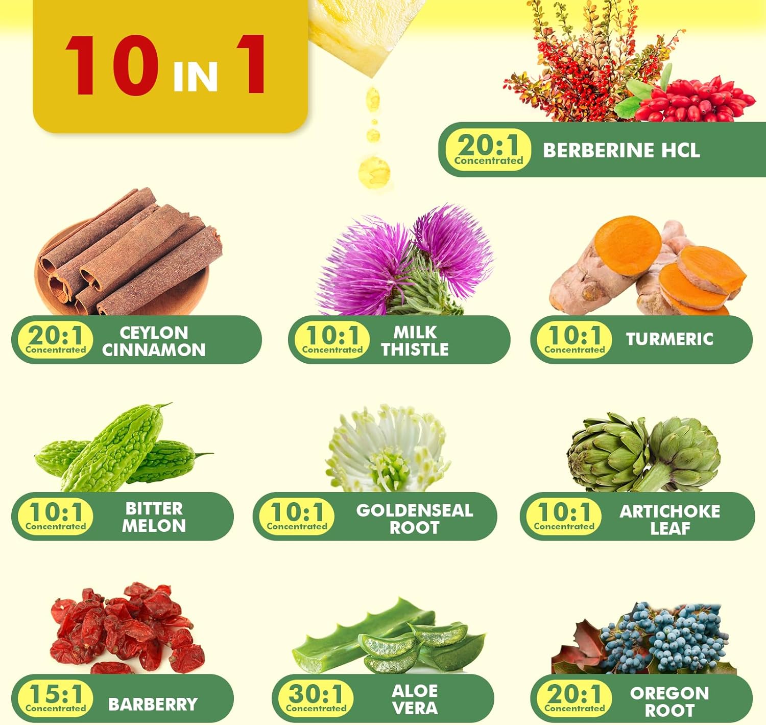 Berberine Supplement with Ceylon Cinnamon - Berberine Liquid Drops with Turmeric Curcumin, Ceylon Cinnamon, Bitter Melon, Berberine Phytosome for Digestion System, Immune Health Support -Vegetarian