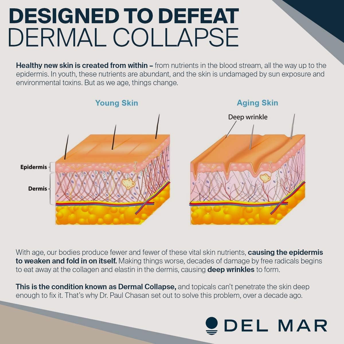 Del Mar Labs Ceralift 30 Day Supply - Doctor Formulated - for Reduction in Appearance of Fine Lines and Wrinkles - Anti-Aging Ceramides and Antioxidants - Vegetarian Capsules