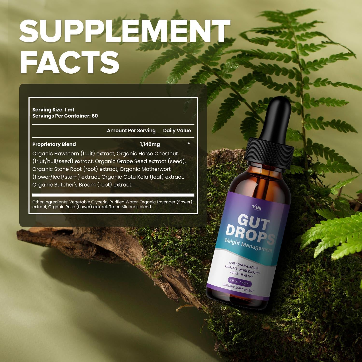 2 Pack Gut Drops Healthy Vitamin Support Supplement - Advanced Formula, Gutdrops 24 Hour Liquid, Energy and Extra Strength Reviews, 2 Month Supply