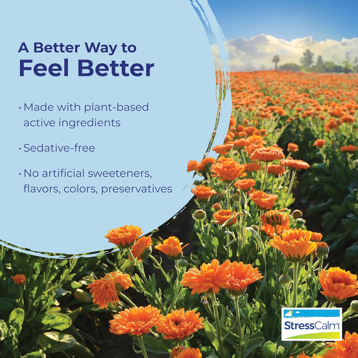 Stresscalm Tablets for Relief of Stress, Anxiousness, Nervousness, Irritability, and Fatigue - 60 Count